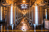 Wein-Gärtanks in der Bodega Alta Vista, einer Weinkellerei im Gebiet Chacras de Coria in Mendoza, Provinz Mendoza, Argentinien