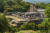 Der Palast in den Ruinen der Maya-Stadt Palenque, Palenque-Nationalpark, Chiapas, Mexiko. Ein UNESCO-Weltkulturerbe.