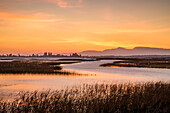 Sunrise at Fern Ridge Reservoir, Willamette Valley, Oregon.