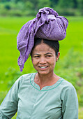 Porträt eines burmesischen Bauern bei der Arbeit auf einem Reisfeld im Shan-Staat Myanmar