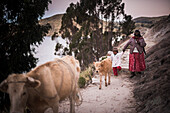 Chollita im Dorf Challapampa, Isla del Sol (Sonneninsel), Titicacasee, Bolivien