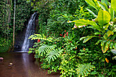Fautaua waterfall. Les Rivières de Tahiti. Fauoro river in Teahupoo. Papeete Tahiti nui French Polynesia France