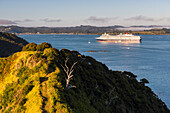 Queen Elizabeth, a Cunard Cruise Shop in the Bay of Islands at Russell, Northland Region, North Island, New Zealand