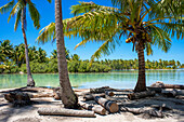 Tropisches Paradies am Meer Landschaft der Insel Taha'a, Französisch-Polynesien. Motu Mahana Palmen am Strand, Taha'a, Gesellschaftsinseln, Französisch-Polynesien, Südpazifik.