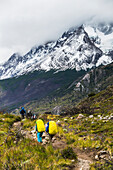 Hiking in Grey Glacier Valley, Torres del Paine National Park (Parque Nacional Torres del Paine), Patagonia, Chile