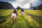 Reiten auf der Hacienda Zuleta, Imbabura, Ecuador, Südamerika