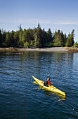 Seekajakfahren in der Orcas Cove mit Southeast Sea Kayaks Outfitters, Ketchikan, Alaska.