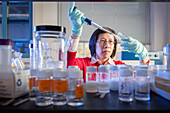 Scientist working in Lab
