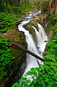 Sol Duc Falls, Olympic National Park, Washington.