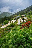 Das Dorf Takahara. Kleines Dorf auf einem Bergrücken entlang der Kumano Kodo Pilgerroute. UNESCO-Weltkulturerbe. Nakahechi. Präfektur Wakayama. Halbinsel Kii. Kansai-Region. Insel Honshü . Japan