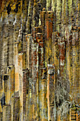 Lichen-covered columnar basalt at Soda Springs on the North Umpqua River; Umpqua National Forest, Oregon.