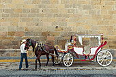 Horse carriage and driver, Guadalajara, Mexico.