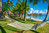 Hammock under coconut trees at Luxury Hotel Kia Ora Resort & Spa on Rangiroa, Tuamotu Islands, French Polynesia.