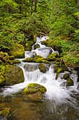 Wasserfall am Watson Creek, Umpqua National Forest, Oregon.