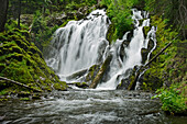 National Creek Falls, Rogue River National Forest, Oregon.