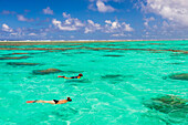 Snorkeling in the crystal clear blue Pacific ocean on the tropical island of Rarotonga, Cook Islands, background with copy space