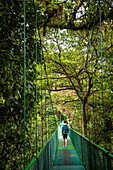 Selvatura Treetop hanging bridges, Monteverde Cloud Forest Reserve, Puntarenas, Costa Rica, Central America