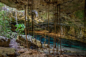 Chikin-Ha Cenote and underground river; Riviera Maya, Yucatan Peninsula, Mexico.