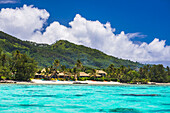 Tropical Island of Rarotonga seen from the beautiful crystal clear Pacific Ocean at Muri Lagoon, Rarotonga, Cook Islands, background with copy space