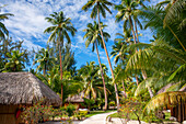 Le Bora Bora by Pearl Resorts Luxusresort auf der Insel Motu Tevairoa, einem kleinen Eiland in der Lagune von Bora Bora, Gesellschaftsinseln, Französisch-Polynesien, Südpazifik.