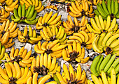 Bananas for sale in Pratu Chiang Mai market; Chiang Mai, Thailand.