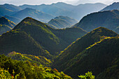Kumano Kodo Kumano Kodo pilgrimage route. Sacred Kumano Mountains from Hyakken-gura lookout point. Between Hongu and Nachi areas. Wakayama Prefecture. Kii Peninsula. Kansai region. Honshü Island . UNESCO World Heritage Site. Japan