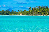 Tropenparadies am Meer Landschaft der Insel Taha'a, Französisch-Polynesien. Motu Mahana Palmen am Strand, Taha'a, Gesellschaftsinseln, Französisch-Polynesien, Südpazifik.