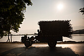 Farmer on tractor at sunset, Inle Lake, Shan State, Myanmar (Burma)