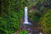 Wasserfall in einem tropischen Regenwald in den La Paz Waterfall Gardens in Costa Rica. La Paz Waterfall Gardens ist die meistbesuchte ökologische Attraktion in Costa Rica, die sich in Privatbesitz befindet.