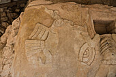 A bird carved in a stucco frieze on the Temple of Kukulkan in the ruins of the Post-Classic Mayan city of Mayapan, Yucatan, Mexico.