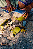 Close Up Photo of a Man Opening a Coconut at Nippah Beach on the Tropical Island of Lombok, Indonesia. This picture of a man opening a coconut on the tropical island of Lombok was taken at Nippah Beach, located in the west of the island. Nippah Beach is a stunning, tropical beach with beautiful white sands on the west coast of Lombok. The tropical Island paradise of Lombok in the West Nusa Tenggara region of Indonesia is home to some of the best beaches in the world and Nippah beach is just one such example.