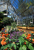 W.W. Seymour Botanical Conservatory im Wright Park; Tacoma, Washington.