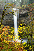 South Falls, Silver Falls State Park, Oregon.