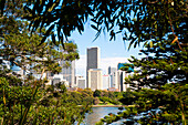 View of Sydney CBD from Sydney Royal Botanic Gardens, Australia. Sydney Royal Botanic Gardens are green, spacious and have stunning views across Sydney Harbour towards Sydney Opera House, Sydney Harbour Bridge and the CBD and Circular Quay areas.