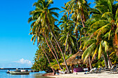 Island of Taha'a, French Polynesia. Motu Mahana palm trees at the beach, Taha'a, Society Islands, French Polynesia, South Pacific.
