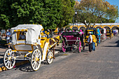 Pferdekutschen in Izamal, Yucatan, Mexiko, bekannt als die Gelbe Stadt. Die historische Stadt Izamal gehört zum UNESCO-Weltkulturerbe.