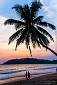 Touristen unter einer Palme am Strand von Mirissa bei Sonnenuntergang, Südküste von Sri Lanka, Südprovinz, Asien