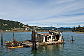 Schiffbrüchiges Boot Mary D. Hume an der Mündung des Rogue River in Gold Beach; südliche Küste von Oregon.