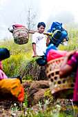 Porter Carrying Food and Camping Equipment on the Trek up Mount Rinjani, Lombok, Indonesia. These porters are incredible. They carry all the food and camping equipment for the three day trek to the summit of Mount Rinjani, which weighs about 35kg, and still power on ahead of the tourists!