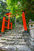 Kumano Kodo pilgrimage route. Kamikura jinja Shrine. Kamikurayama mountain. Shingu. Kamikura. Wakayama Prefecture. Kansai region. Honshü Island . Japan. UNESCO