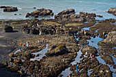 People viewing tidepools at Yaquina Head Outstanding Natural Area on the central Oregon Coast.