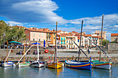 Typical boats and Notre-Dame-des-Anges church and landscape seaside beach of the picturesque village of Collioure, near Perpignan at south of France Languedoc-Roussillon Cote Vermeille Midi Pyrenees Occitanie Europe