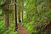 Father and son hiking on Drift Creek Falls Trail; Siuslaw National Forest, Coast Range Mountains, Oregon.