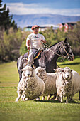 Gaucho at Estancia 25 de Mayo, El Calafate, Santa Cruz Province, Argentinian Patagonia, Argentina