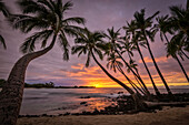 Sonnenuntergang und Kokosnusspalmen am Makalawena Beach, Kekaha Kai State Park, Kona-Kohala Coast, Big Island of Hawaii.