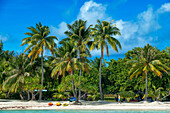Strand der Insel Motu Tevairoa, ein kleines Eiland in der Lagune von Bora Bora, Gesellschaftsinseln, Französisch-Polynesien, Südpazifik.