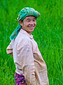 Porträt eines burmesischen Bauern bei der Arbeit auf einem Reisfeld im Shan-Staat Myanmar