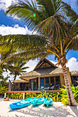 Luxusvillen mit Meerblick am Strand mit tropischen Palmen und einem Sandstrand, Muri, Rarotonga, Cook Inseln
