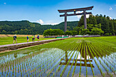 Kumano Kodo Pilgerroute. Otorii. Tori-Schreintor, das den Eingang zu Oyunohara markiert. Nakahechi. Wakayama .UNESCO. Japan