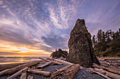 Treibholz, Meeresstapel und Sonnenuntergang am Ruby Beach, Olympic National Park, Washington.